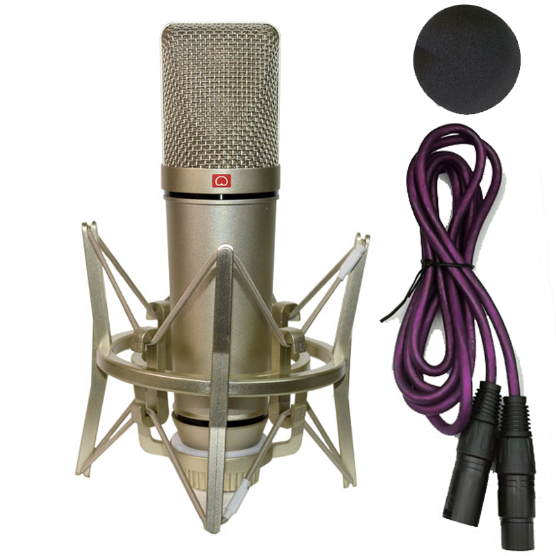 Shure Mic Sm58 - Microphone à condensateur professionnel micro pour